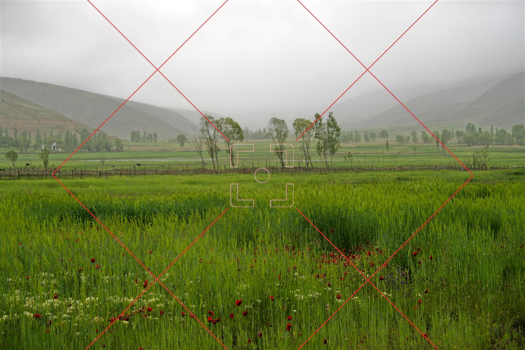 سر زلف عروسان چمن