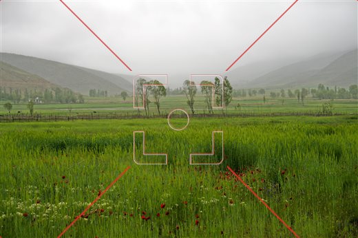 سر زلف عروسان چمن