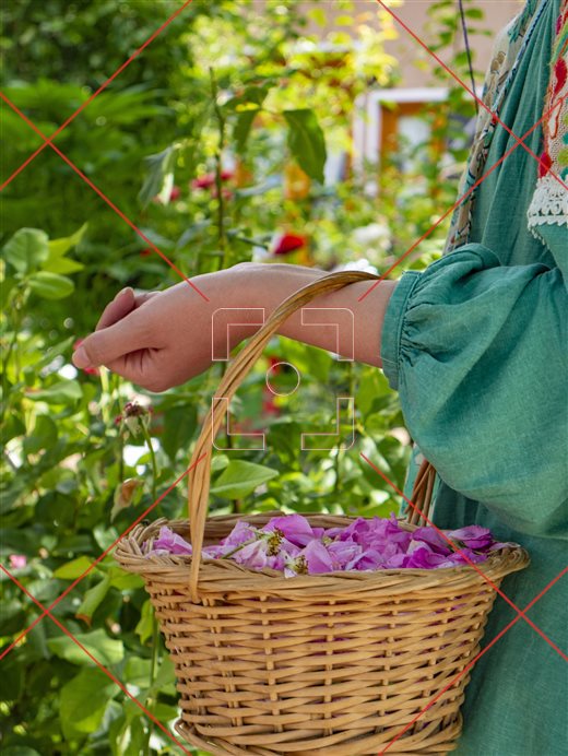 بانو و سبد حصیری پر از گل